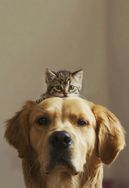 Everything In Its Right Place