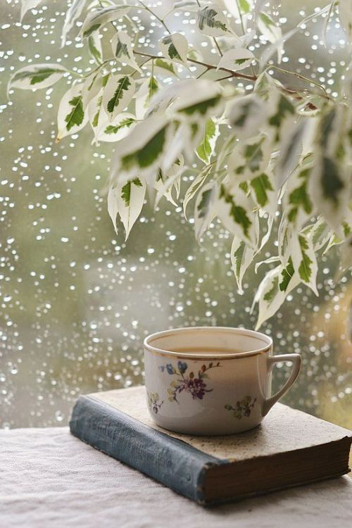 littledallilasbookshelf: Book, rain &amp; tea……