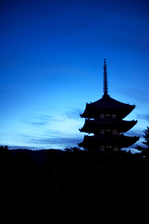 imalikshake:     imalikshake: 興福寺五重塔 by moriyu    