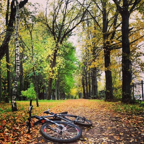 instabicycle: Via @cucumbeer: #letsbikeit #золотаяосень #осень #октябрь #велосипед #bicycle #autumn 