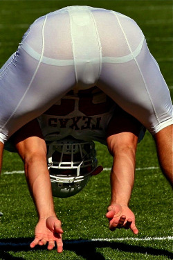 jockdays:  Hot studs, hung jocks, and thick cocks! http://jockdays.tumblr.com/