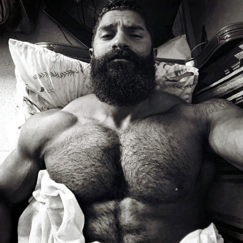 hot muscle guys collection
