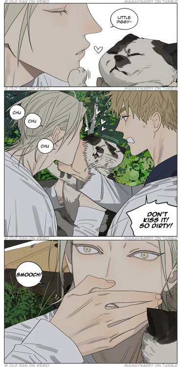 miamaymarry: STRAY CAT &lt;3Follow @linzi-yay for her hard work^^Awww Momo bless your soul!I rec