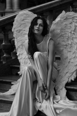 yesiamyourgoddess:  ⚜  Wings yes. Clothes no.
