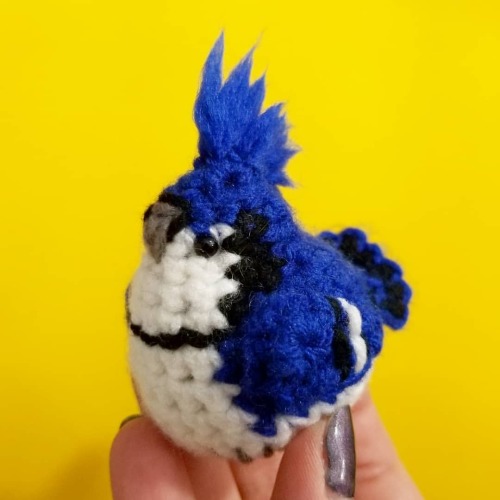 A custom order for a Blue Jay. I&rsquo;m not sure if I like how dark the blue is, but I don&