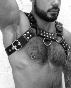 Fur, Tats, Leather and Scruff...