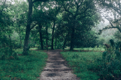 Silver Springs State Park by corran105 on Flickr.