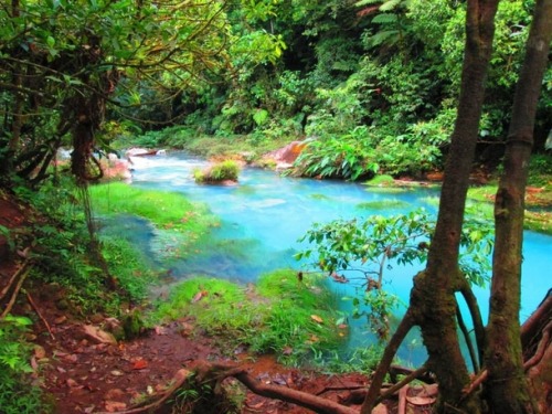 photorator:  A natural sulfur leak in a Costa Rican jungle Photographer Isa Ferrell