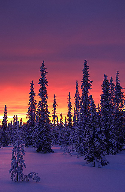 drxgonfly:
“ Polar glow (by Antti-Jussi Liikala)
”