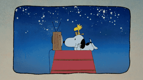 THE SNOOPY SHOW • 1.02