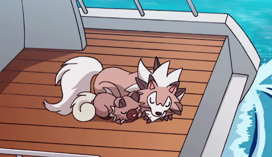 shelgon: IMPORTANT