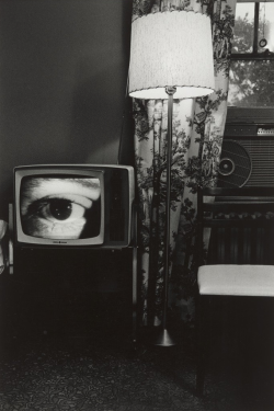 umbrellavein:  Lee Friedlander Washington,