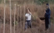 gutsanduppercuts:  Easily one of the most iconic training sequences of all time: Jackie Chan in “Snake in the Eagle’s Shadow.”