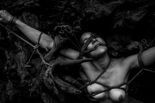 Bound into the roots of a fallen Redwood tree. Rope Bondage by Marcuslikesit Photography by Marcusli