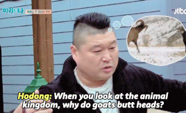 ygdomination:  5/∞ reasons to love ikon: they’re really smart