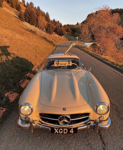 n1rvana:Mercedes-Benz 300SL Gullwing