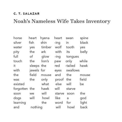 boykeats:C. T. Salazar, “Noah’s Nameless Wife Takes Inventory,” featured in Ruminate Magazine