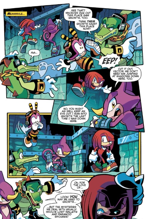 felipeyuski:  angelo-storto:  THEY’RE DETECTIVES YOU WANT ON YOUR SIDE  Why Vector is my favorite Sonic character?This
