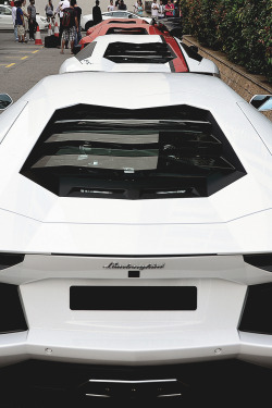 exclusive-pleasure:  Aventador 