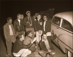 1950sunlimited:  Teens, 1954 Teenagers arrested for hot rod racing on Artesia St. in South Compton, Calif.  via 