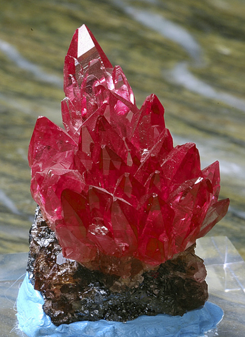 mineralists:geogallery:RhodochrositeOh my… This is absolutely stunning!