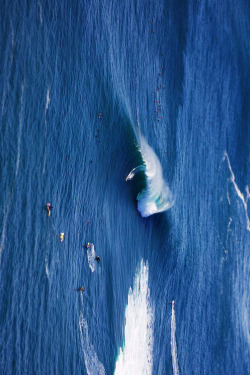 Surfs Up
