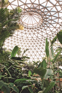 itscolossal:Majestic Conservatories and Cozy