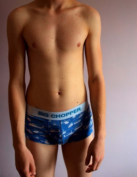 🐧 You Must Be Gay+ To View This Blog*
