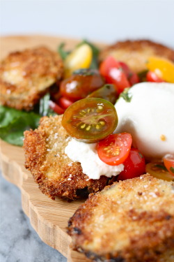 do-not-touch-my-food:  Fried Eggplant, Tomatoes,