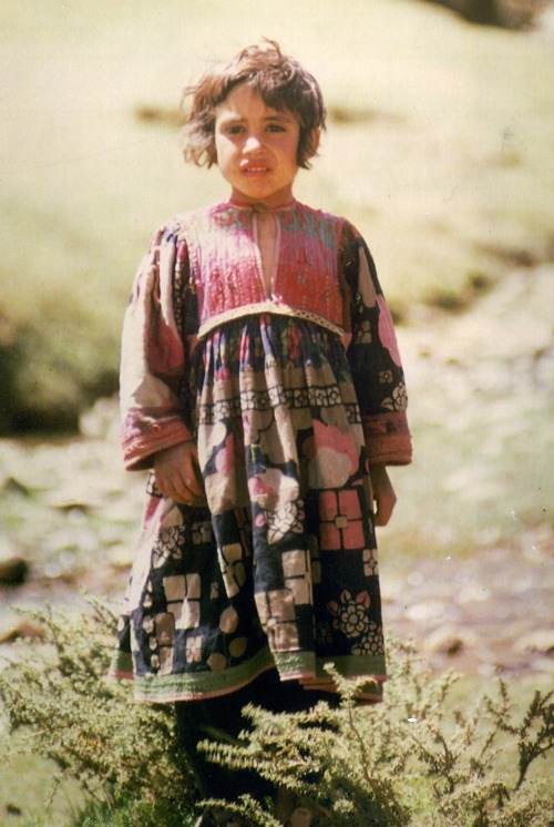 warkadang: Kuchis (nomadic Pashtuns) near the great statues of the three Buddhas in Bamiyan, Afghani