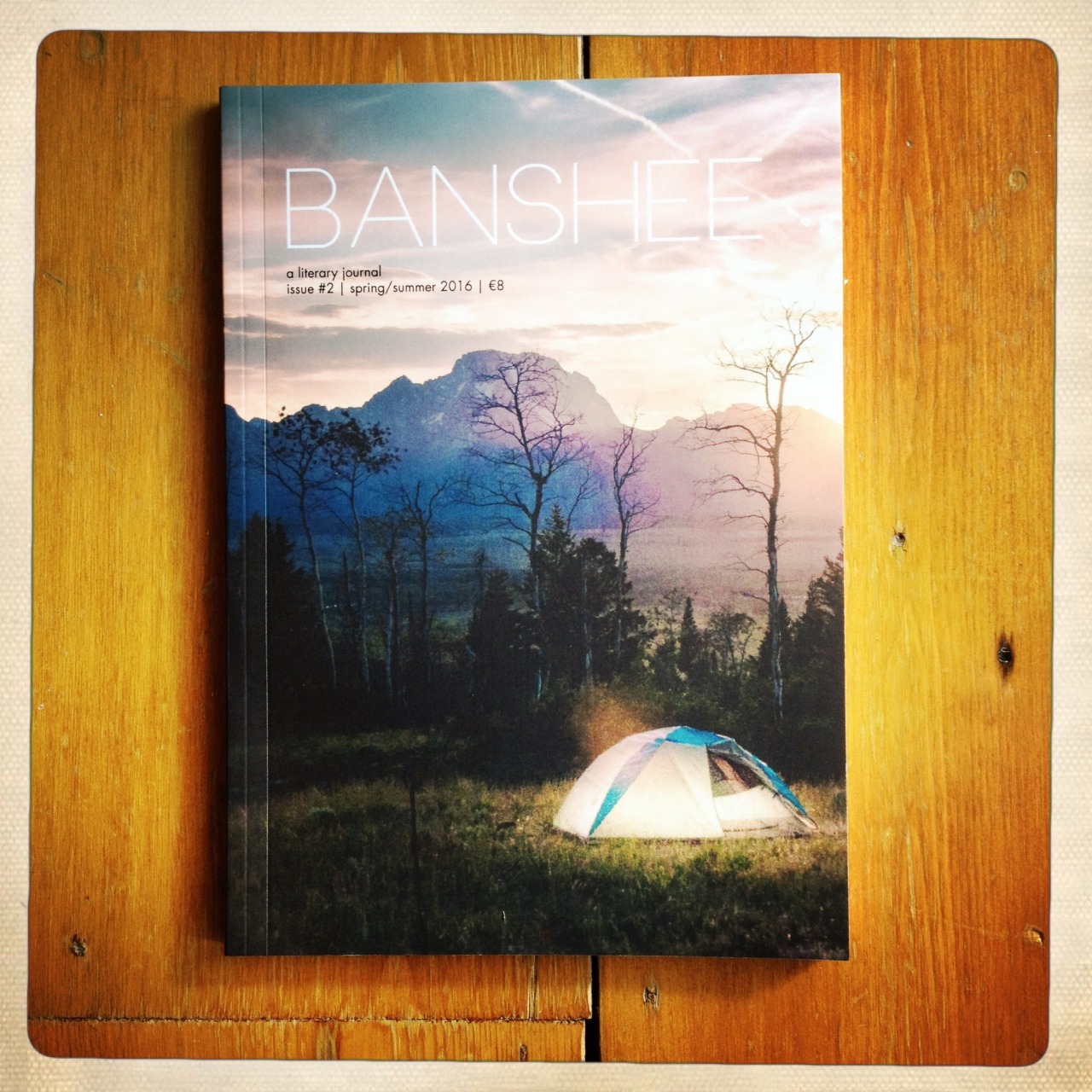 Thrilled to have a ghost story, ‘Stomping Ground’, in Issue #2 of Banshee literary journal.