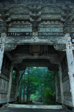 hokkyokukou:  Shrine Gate, Gunma, Japan 