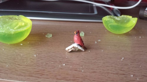 ruusei replied to your post: we must free the birb.  free him  it is done.   he has been freed. 