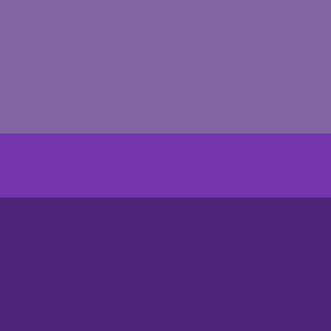 Rainbow Bi Time