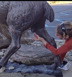 hornycouple1970:  This bitch is crazy! We went out to dinner and there was a statue of a moose outside. She felt the need to tickle it’s balls and then try to lick them lol. I love her so much❤️🦋