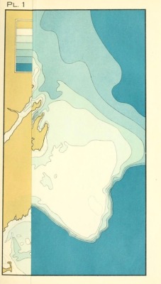 nemfrog:  Plate I. Foldout, unopened. The