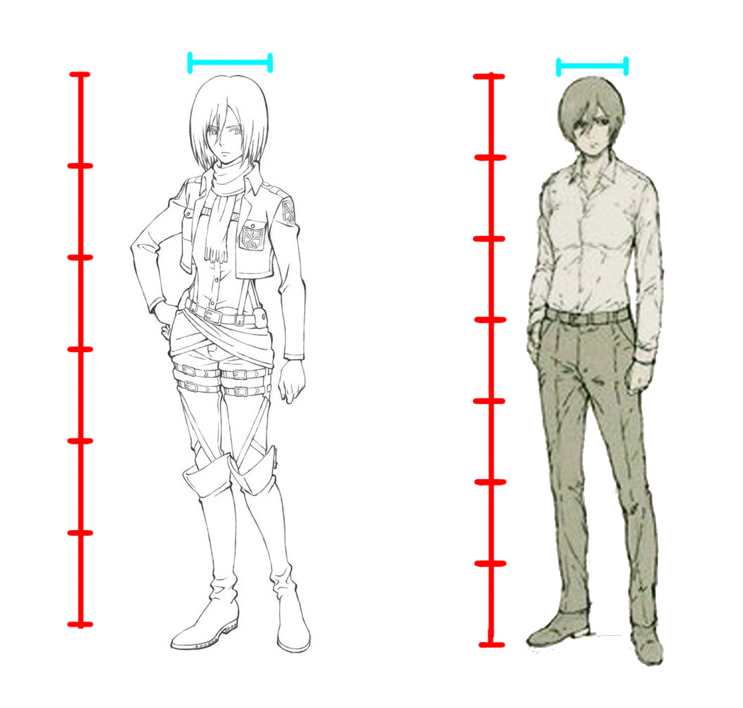 Proporções corporais de anime: como os designs dos personagens são realistas