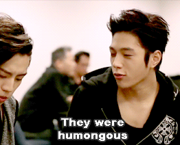 iranichan:  Myungsoo and Pelicans