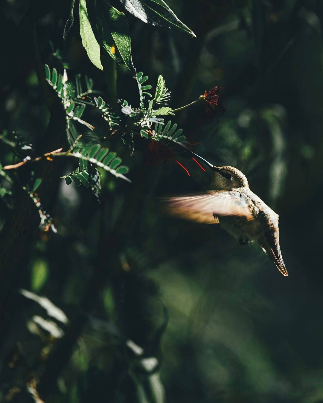 grace–upon–grace: Dylan Fursty