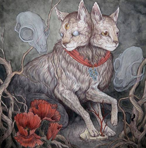 throne-of-perdition: pachipachiworld: Jeremy Hush Actually this is Forget Me Not by Caitlin Hackett