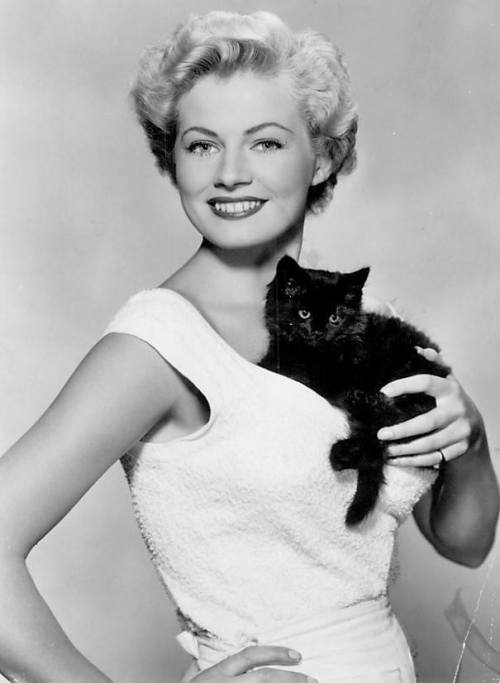 Some of the most glamorous Hollywood stars posing with their beloved cats. See more photos here&hell