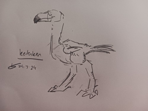 I Would Like An Order Of Dodo, Kelenken (terror Bird) OR Two Of The Galapagos Finches.