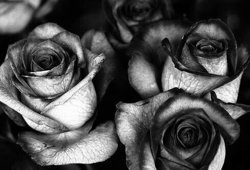 dark-recesses-of-the-soul:  ☽ dark, horror, eerie, macabre ☾