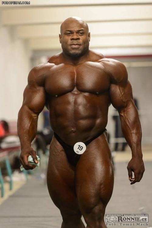 needsize:  Total Mass.Kai Greene