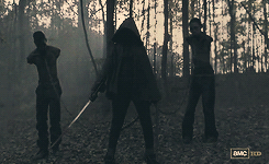 iowntheworld13:   The Walking Dead Meme↳ Four personal items | 2/4 — Michonne’s