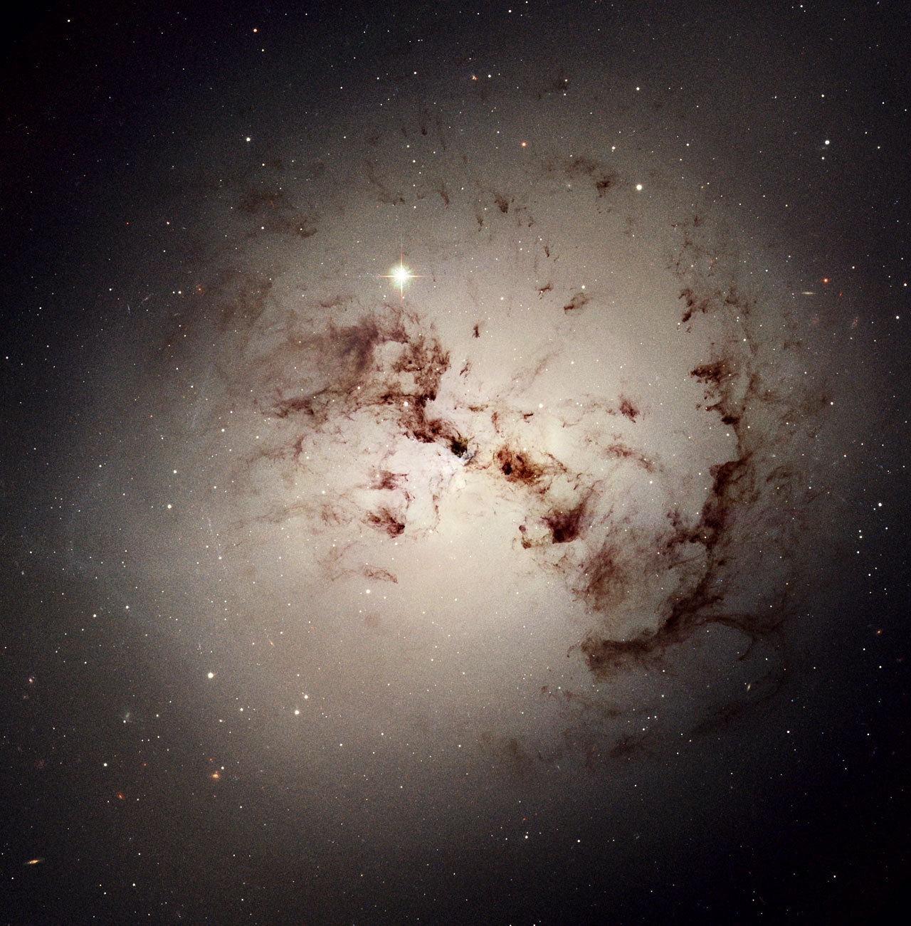 astronomyblog:    Hubble spies cosmic dust bunnies   Like dust bunnies that lurk