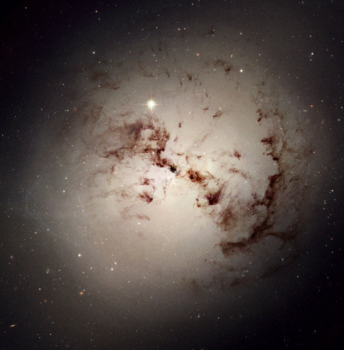 Like dust bunnies that lurk in corners and under beds, surprisingly complex loops and blobs of cosmi