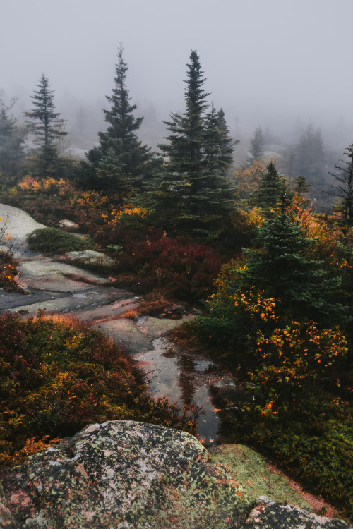 natura-e:  brianstowell:  Acadia National Park, Maine Surprisingly, I was the only car in the parking lot at the peak of Cadillac Mountain for this “sunset” a couple nights ago. A little rain scared all the tourists away and I had it all to myself.