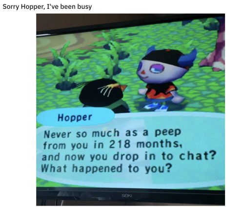 animal crossing memes