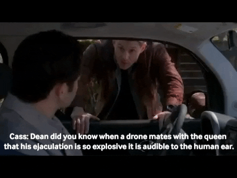 While Trying To Flirt, Cass Tells This To Dean Lol